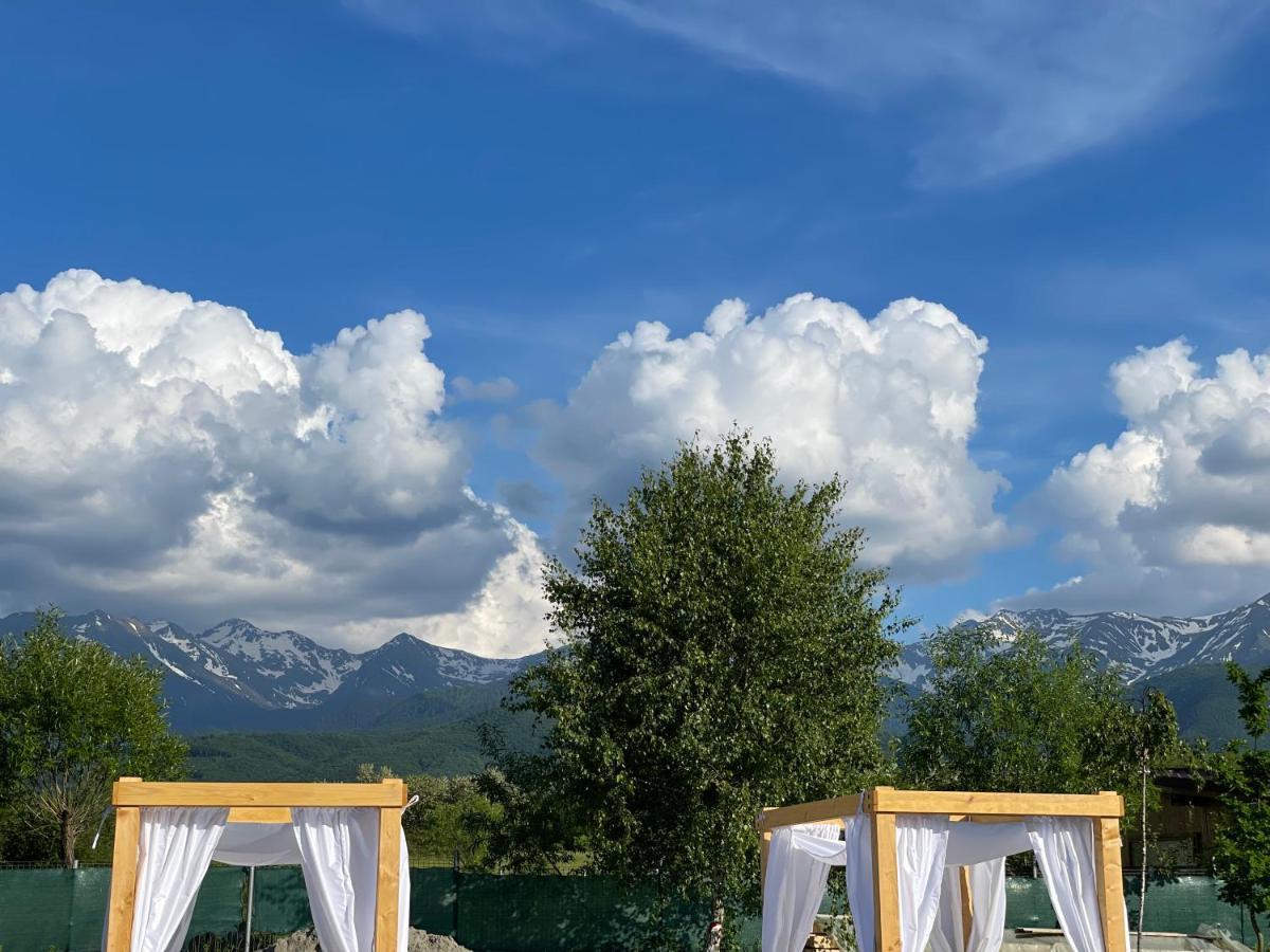 Вилла Epic House Valea Avrigului Экстерьер фото