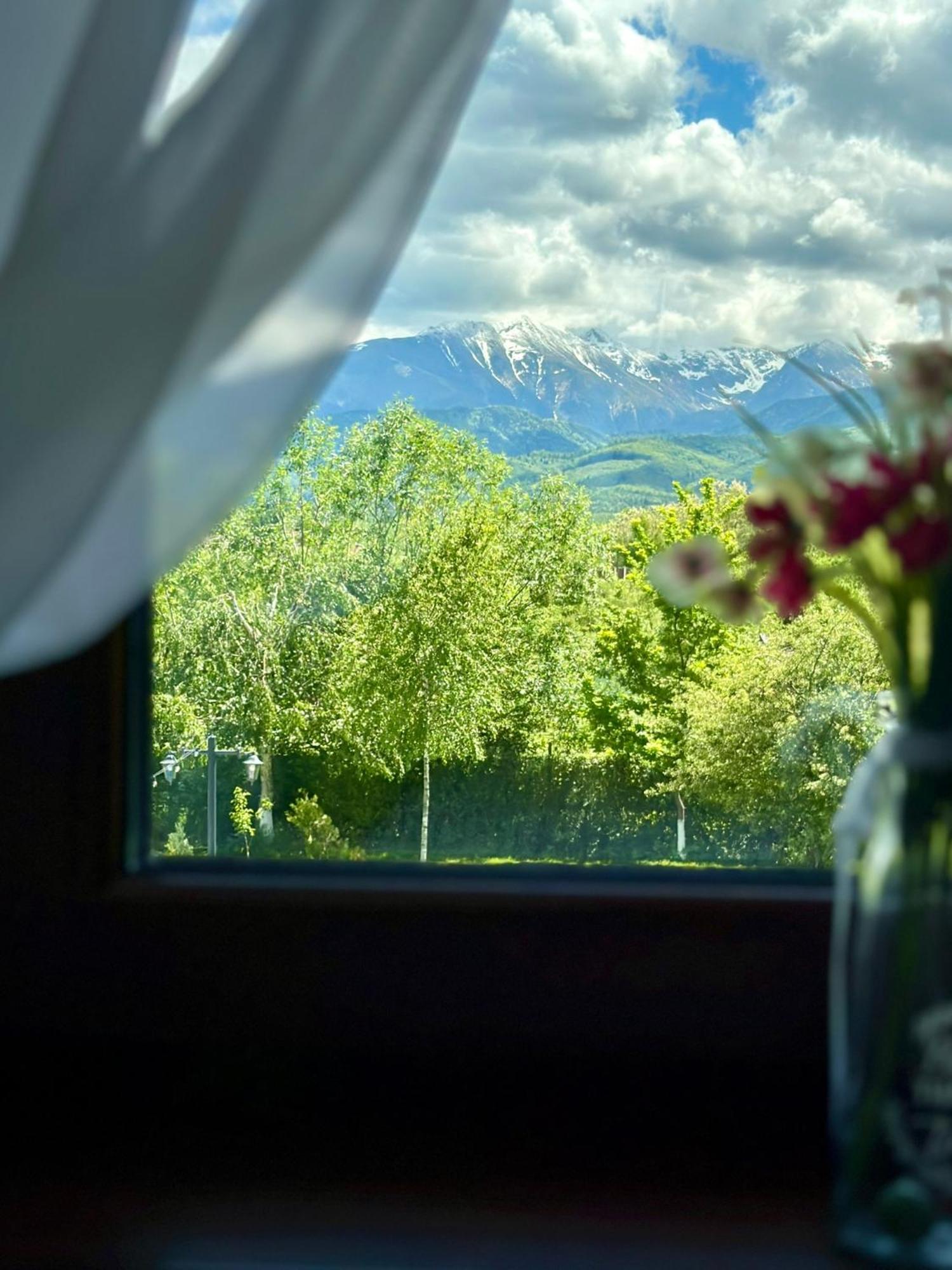 Вилла Epic House Valea Avrigului Экстерьер фото